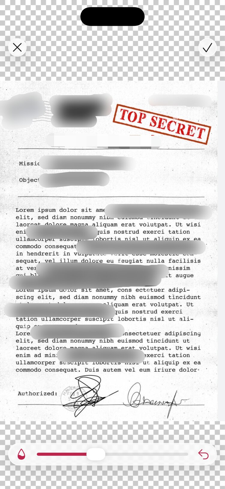 Editing a document with blur censoring