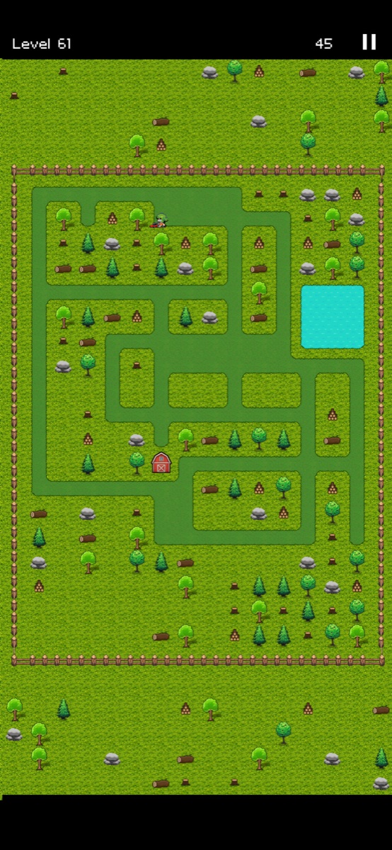 Advanced puzzle level